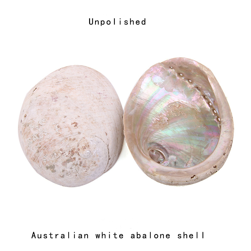 12-16CM Dekorasi Pernikahan Pa - Jewelry Making New Zealand ulasan dan harga